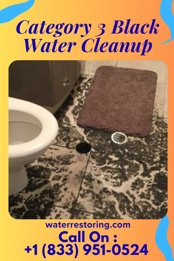 Category 3 Black Water Cleanup in Grand Forks, ND